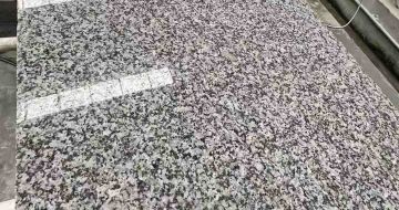 云浮 芙蓉白光面