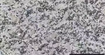 云浮 芙蓉白（芝麻白大花）火烧面