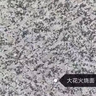 云浮 芙蓉白（芝麻白大花）火烧面