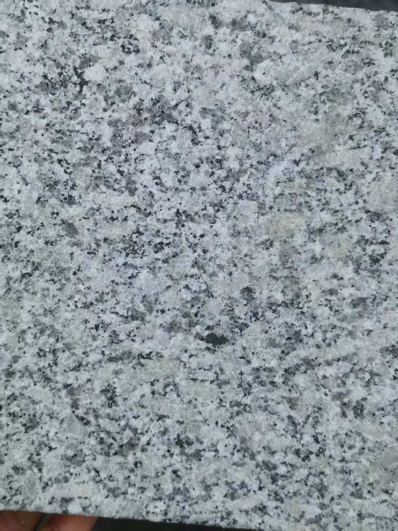 云浮 芙蓉白火烧面