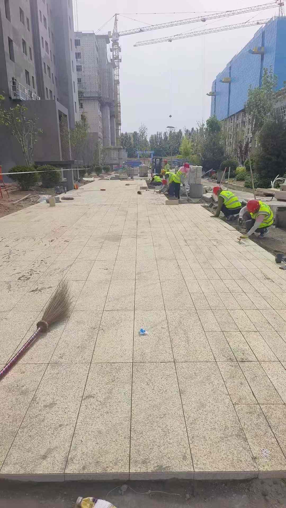 云浮黄金麻荔枝面地铺案例