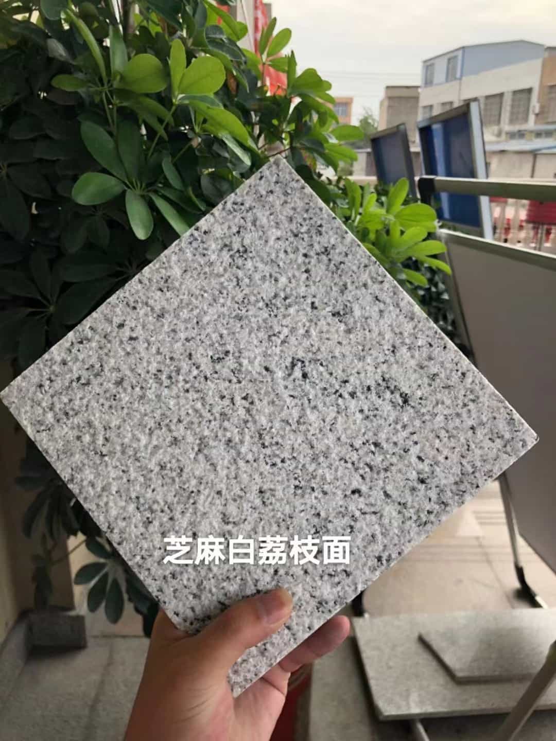 云浮 芝麻白荔枝面干挂
